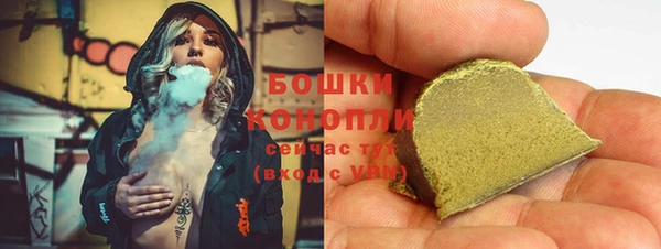 прущие грибы Слюдянка