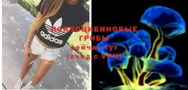 PSILOCYBIN Семёнов
